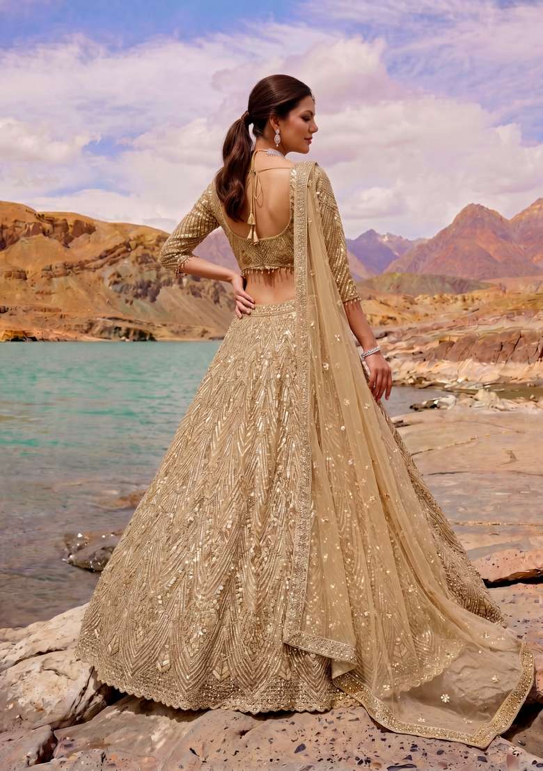 Chiku Embroidery Net Lehenga Set - Indya