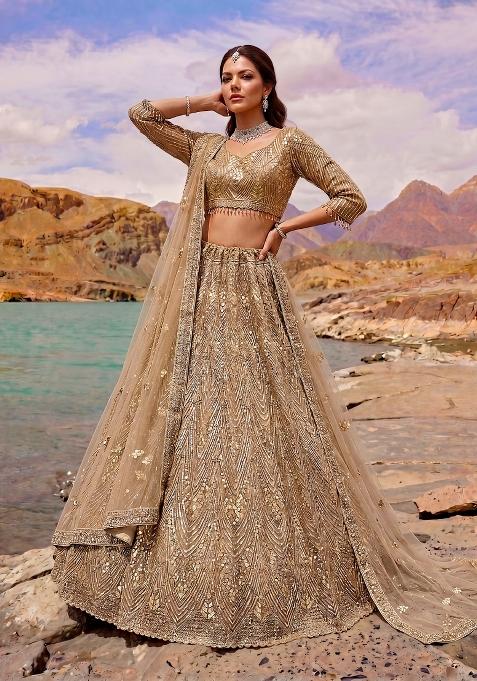 Chiku Embroidery Net Lehenga Set