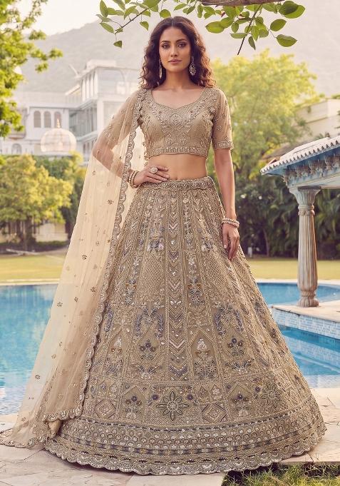 Chiku Embroidery Net Lehenga Set