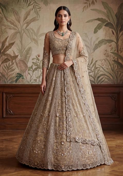Chiku Embroidery Net Lehenga Set