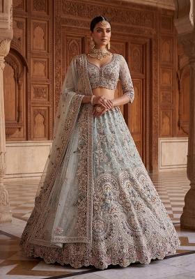 Sky Blue Embroidery Net Lehenga Set