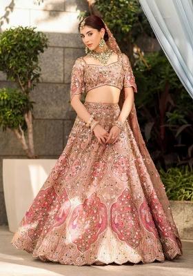 Multicolor Embroidered Silk Lehenga Set