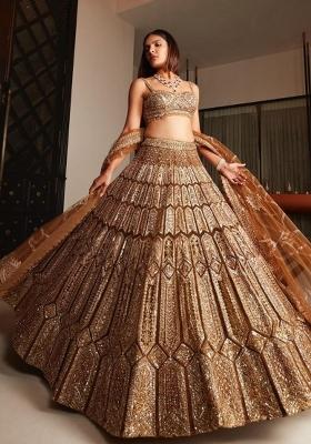 Brown Embroidered Silk Lehenga Set