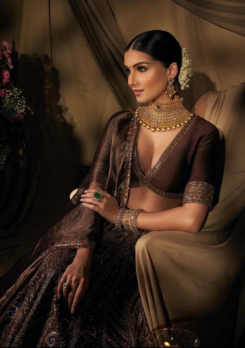 Brown Sequin Work Silk Lehenga Set - Indya