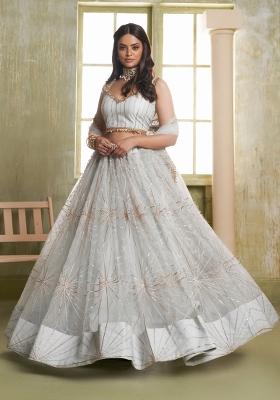 Light Grey Embroidered Net Lehenga Set