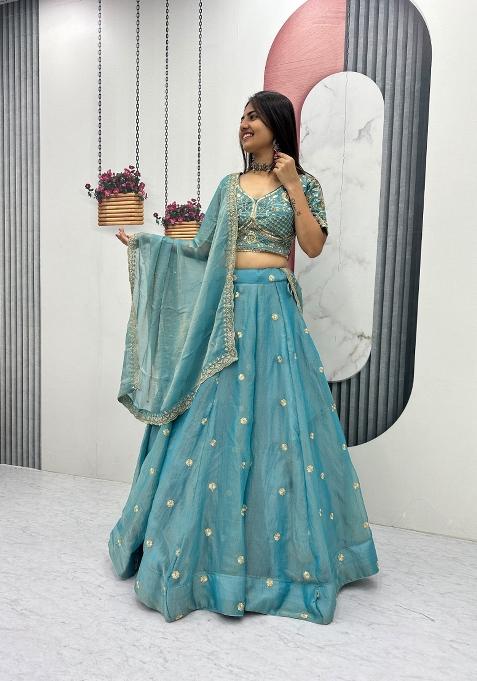Sky Blue Embroidered Mosh Lehenga Set