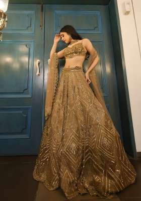 Golden Net Lehenga Set with Embroidered for Diwali | Wedding & Festive Wear