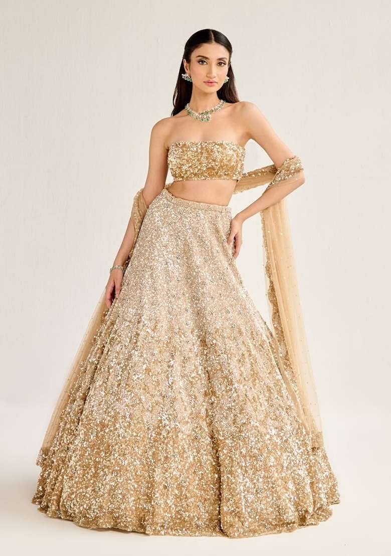 Silver Embroidery Net Lehenga Set - Indya