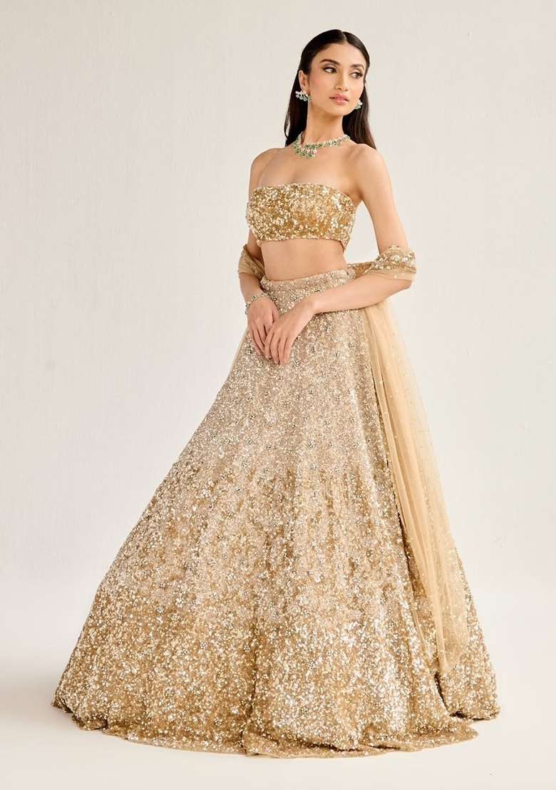 Silver Embroidery Net Lehenga Set - Indya