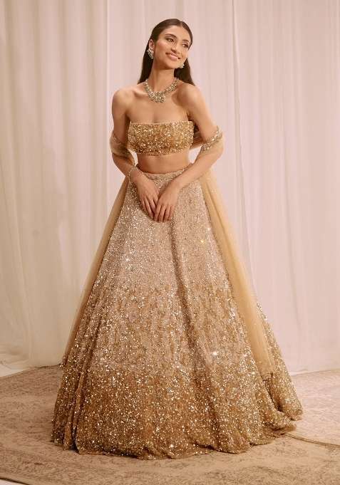 Silver Embroidery Net Lehenga Set