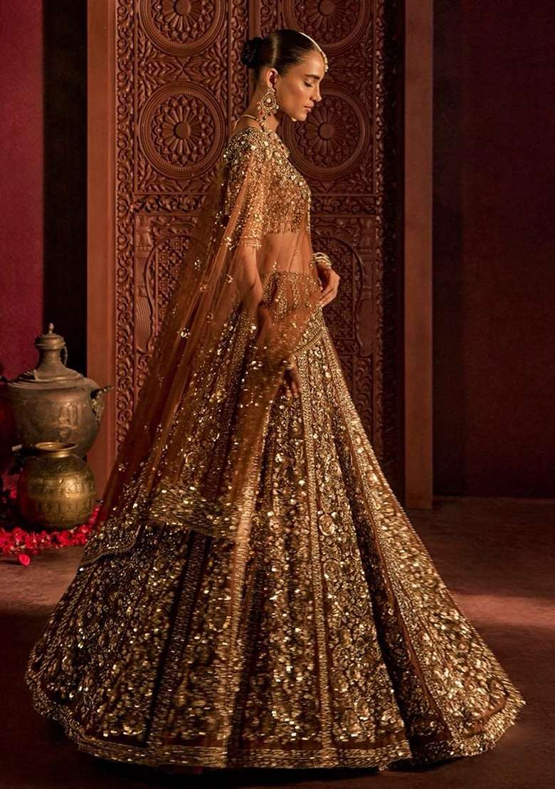 Brown Embroidery Net Lehenga Set - Indya