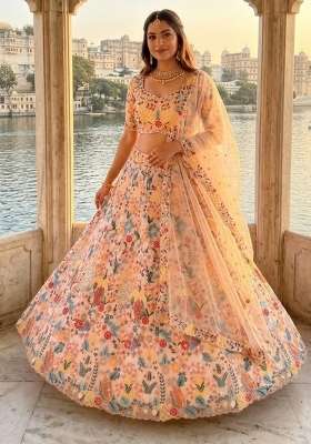 Multicolor Embroidery Net Lehenga Set