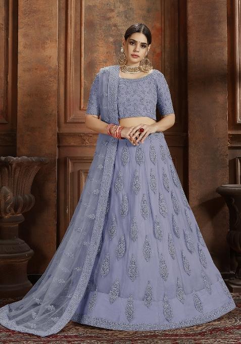 Blue Embroidered Net Lehenga Set
