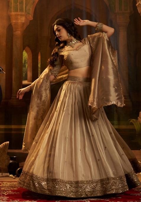 Brown Embroidered Silk Blend Lehenga Set