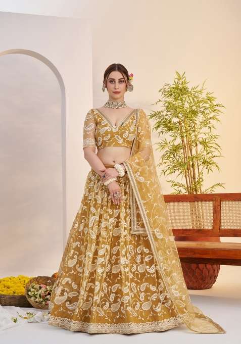 Light Golden Embroidery Net Lehenga Set for Diwali and Festive Wear