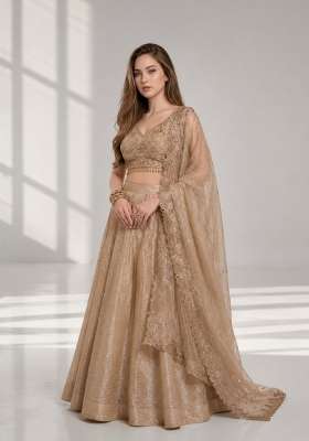 Beige Embroidery Organza Lehenga Set for Diwali and Festive Wear