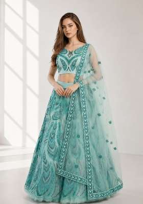 Sky Blue Embroidery Net Lehenga Set