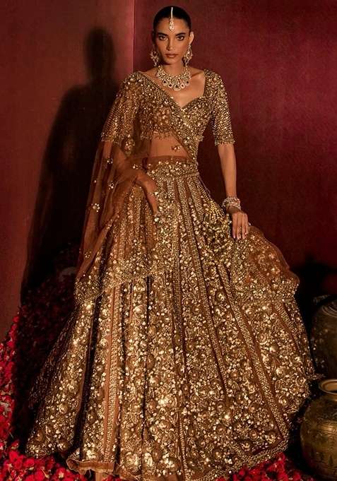 Golden Embroidery Net Lehenga Set