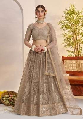 Muted Brownish Grey Thread Work Net Lehenga Set for Diwali and Festive Wear