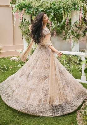 Cream Sequin Work Net Lehenga Set