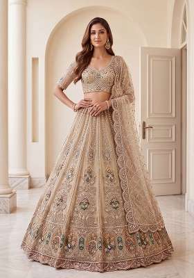 Beige Embroidery Net Lehenga Set