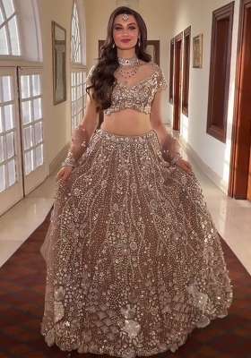 Taupe Sequin Work Net Lehenga Set