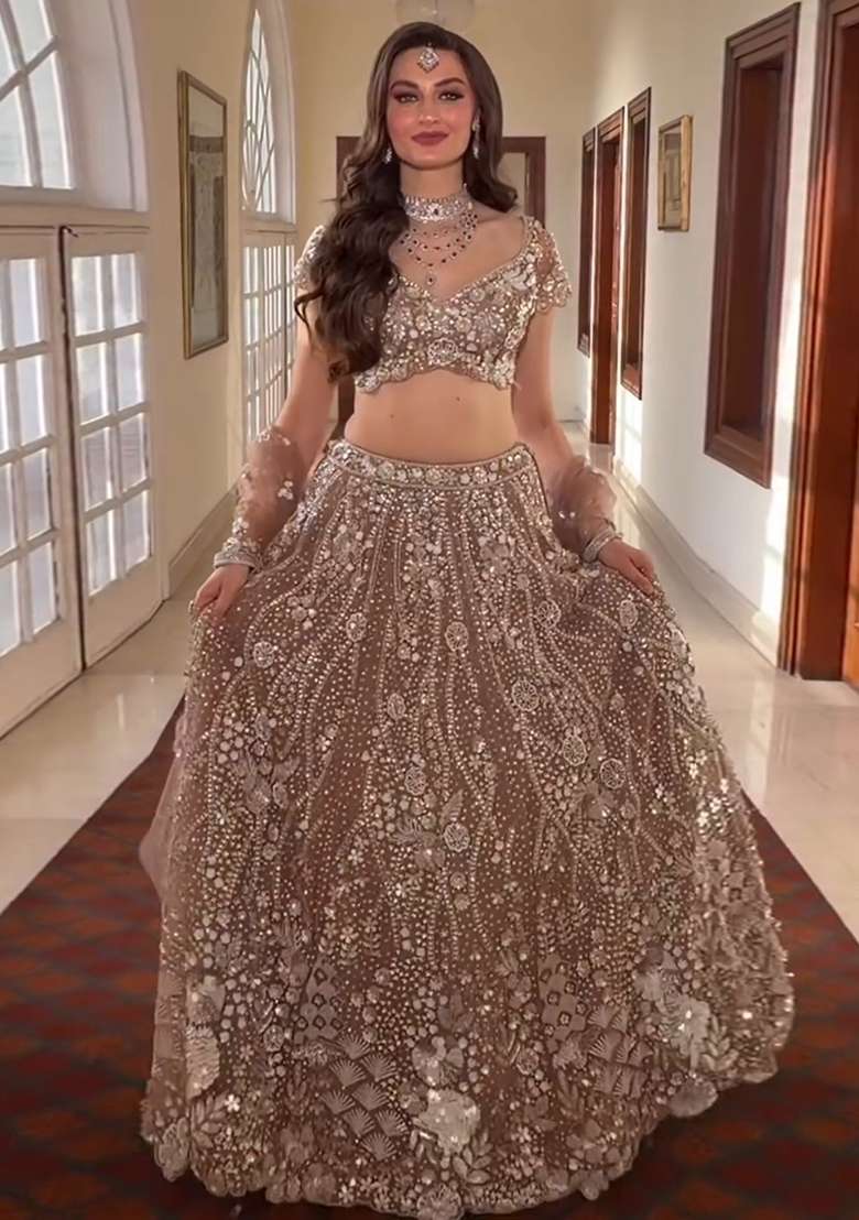 Taupe Sequin Work Net Lehenga Set - Indya