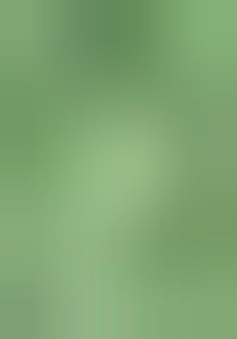 Green Sequin work viscose Kurta Set For Men