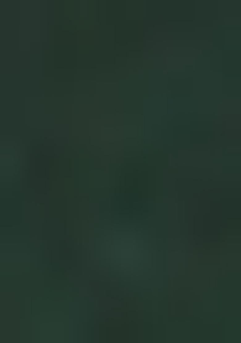 Green Woven jacquard Kurta Set For Men