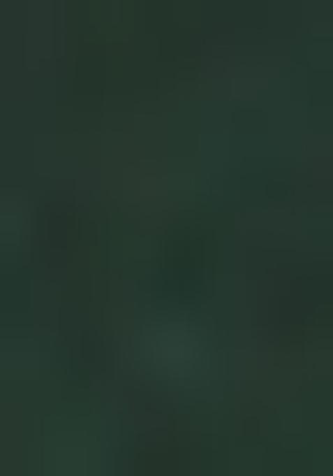 Green Woven jacquard Kurta Set For Men