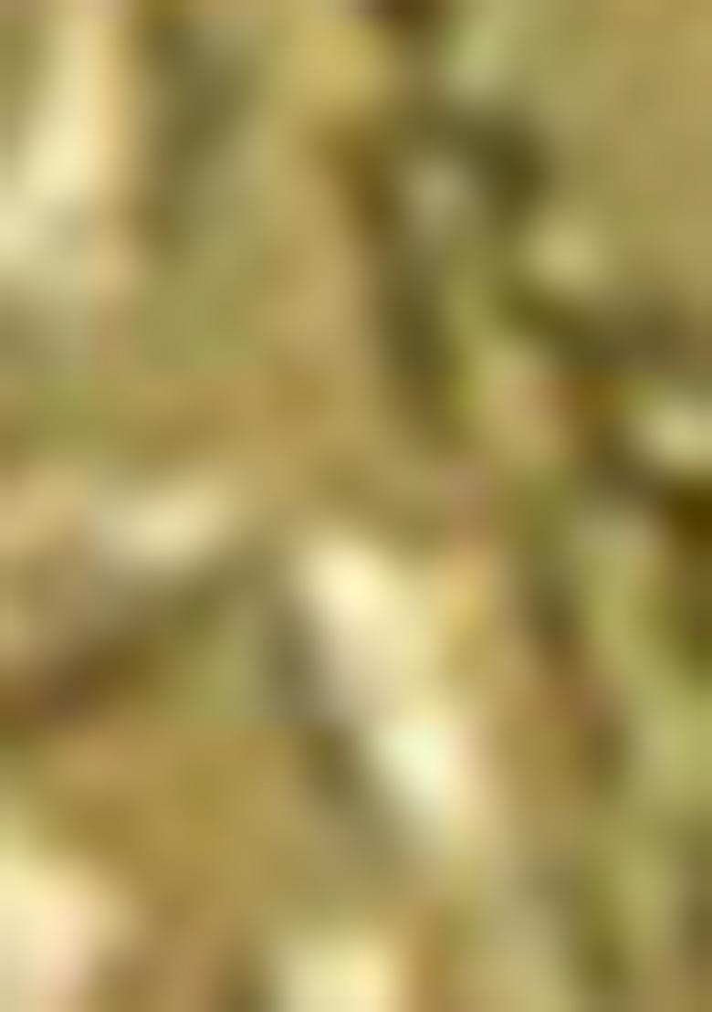 Green Embroidered Viscose Kurta Set For Men