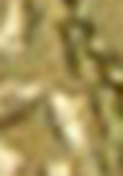 Green Embroidered Viscose Kurta Set For Men