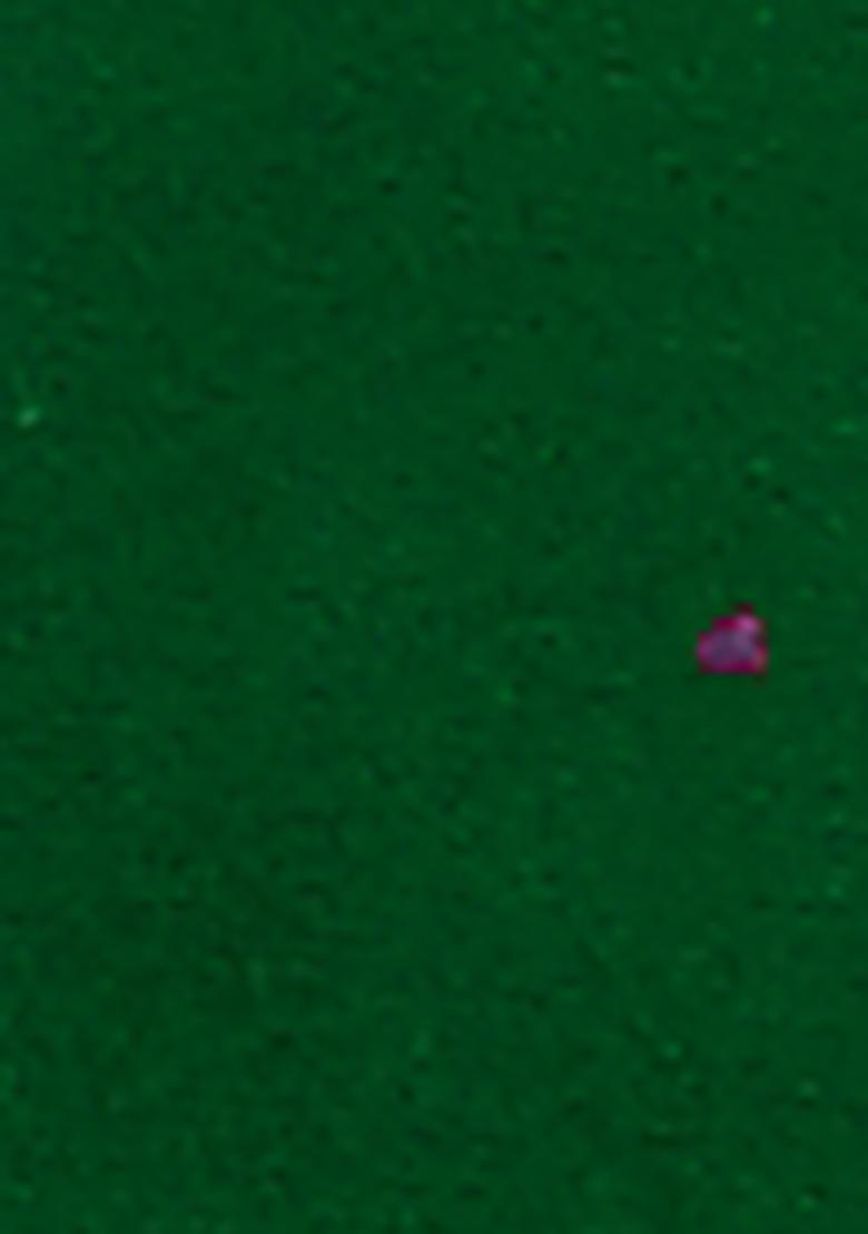 Green Embroidered Velvet  Bandhgala For Men