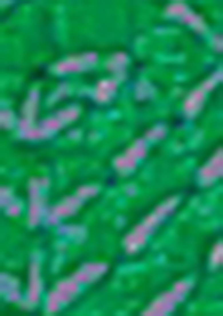 Green Embroidered Silk Sherwani for Men