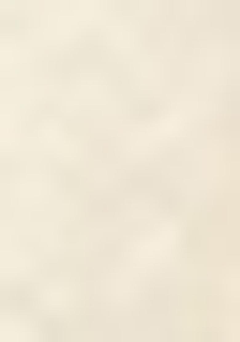 Cream Embroidered Brocade Sherwani for Men