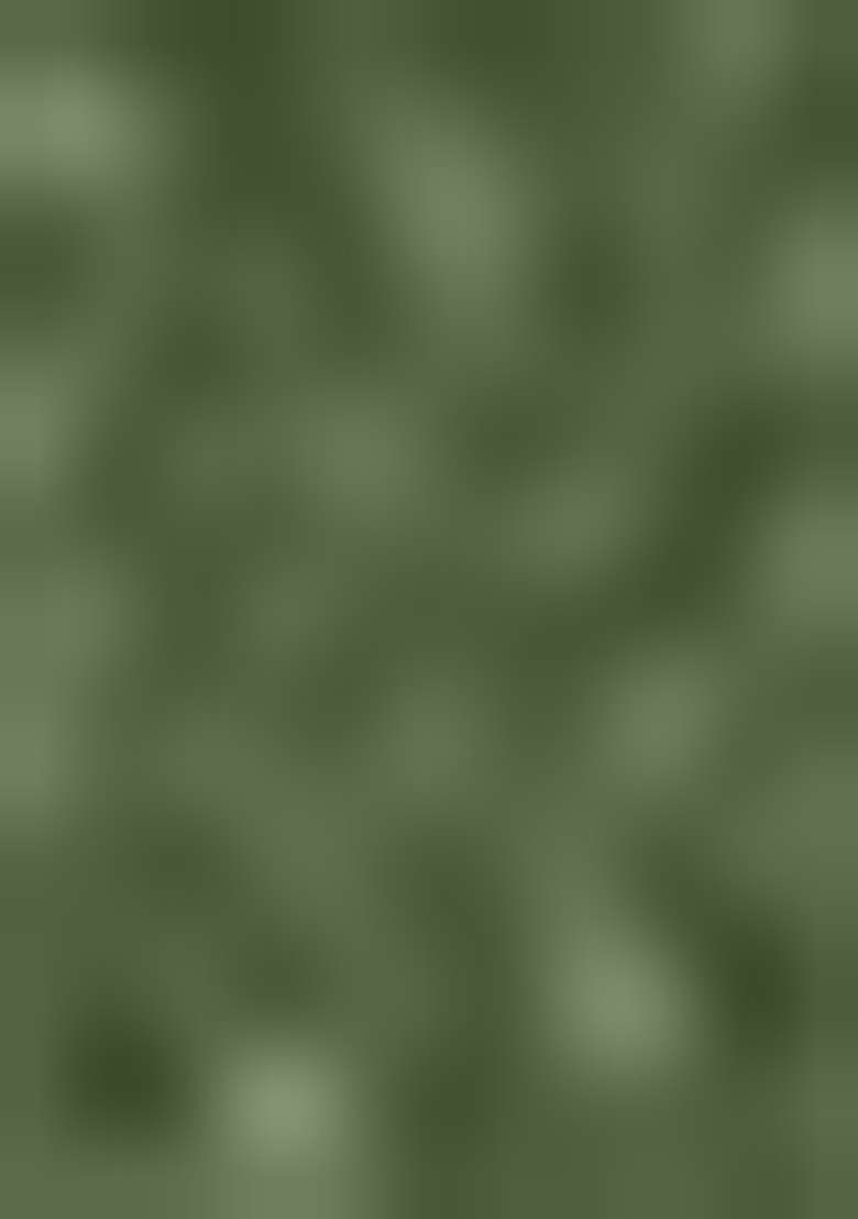 Green Embroidered Silk Blend Kurta Set For Men - Indya