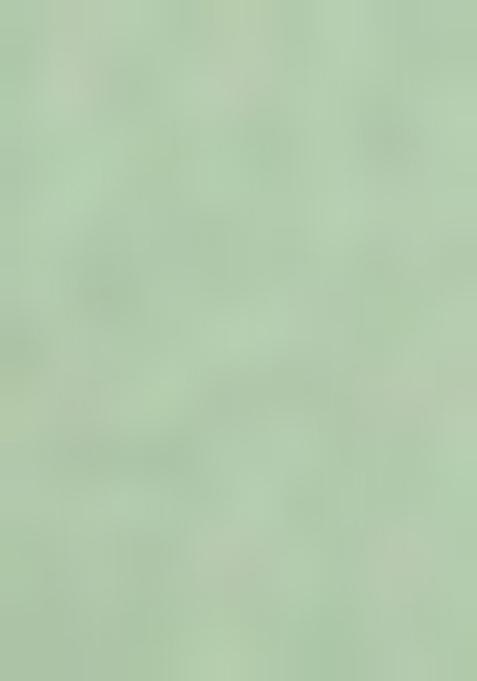 Green Solid Poly Viscose Nehru Jacket Set For Men