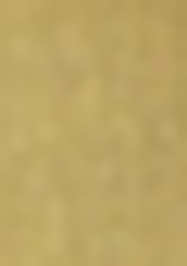 Green Solid Poly Viscose Nehru Jacket Set For Men