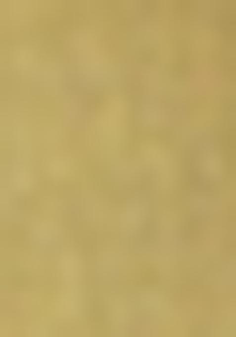 Green Solid Poly Viscose Nehru Jacket Set For Men