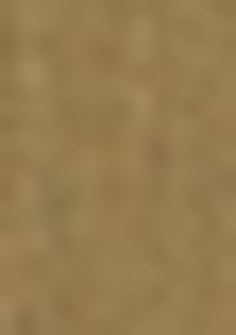 Green Solid Poly Viscose Nehru Jacket Set For Men