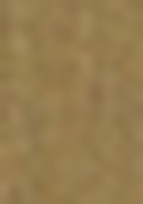 Green Solid Poly Viscose Nehru Jacket Set For Men