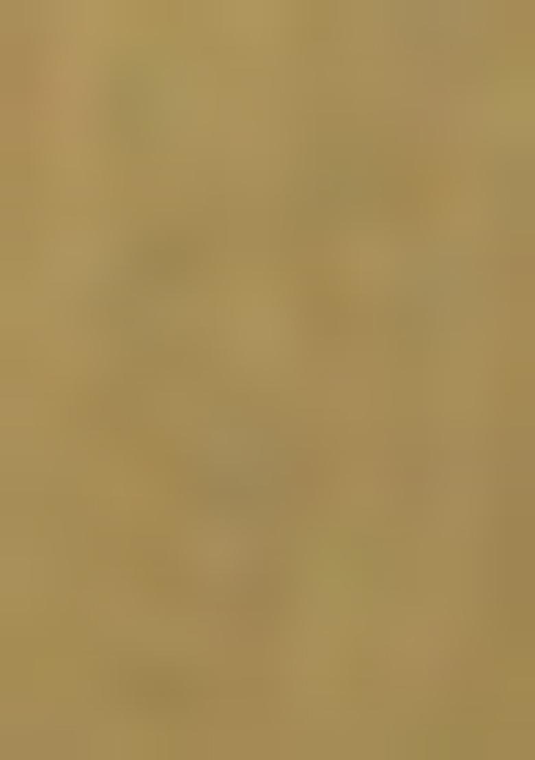 Mehendi Green Solid Poly Viscose Nehru Jacket Set For Men