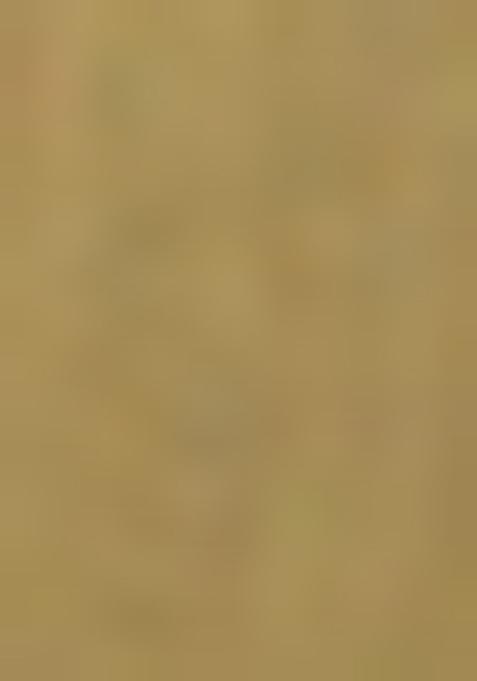 Mehendi Green Solid Poly Viscose Nehru Jacket Set For Men