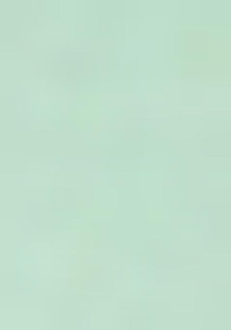 Green Solid Poly Viscose Nehru Jacket Set For Men