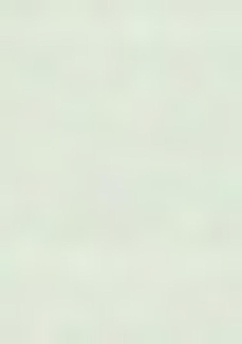 Green Solid Cotton Kurta Set For Men