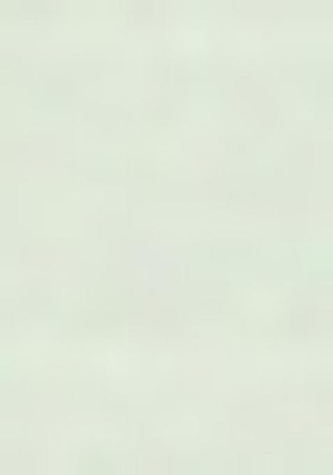 Green Solid Cotton Kurta Set For Men