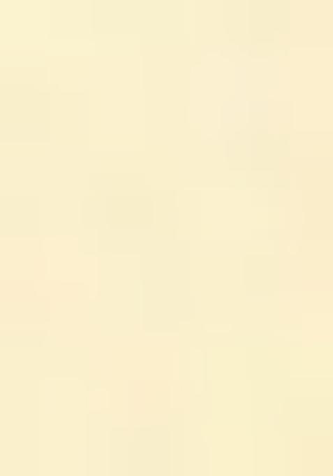 Lemon Yellow Solid Cotton Kurta Set For Men