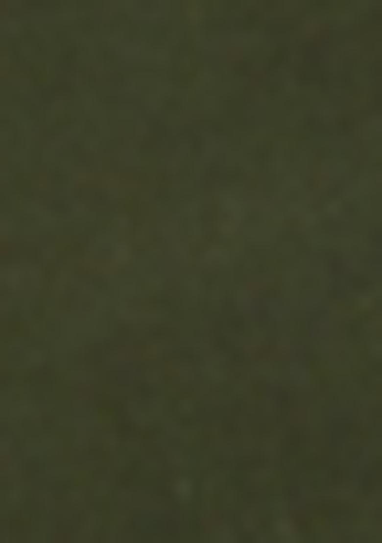 Mehendi Green Yoke Design Cotton Silk Kurta For Men