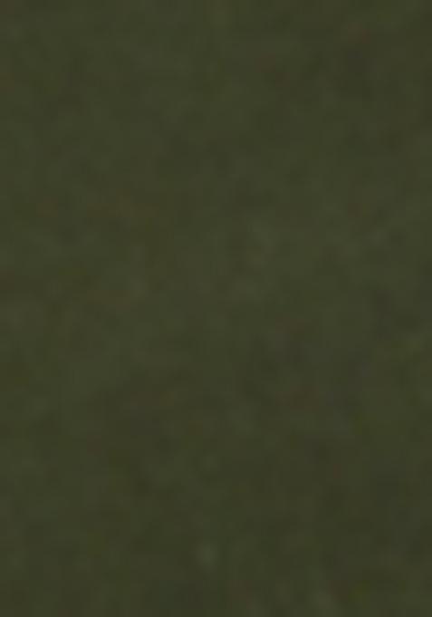 Mehendi Green Yoke Design Cotton Silk Kurta For Men