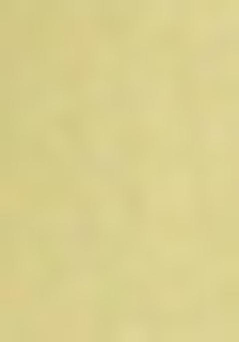 Green Ethnic Motifs Cotton Silk Kurta For Men